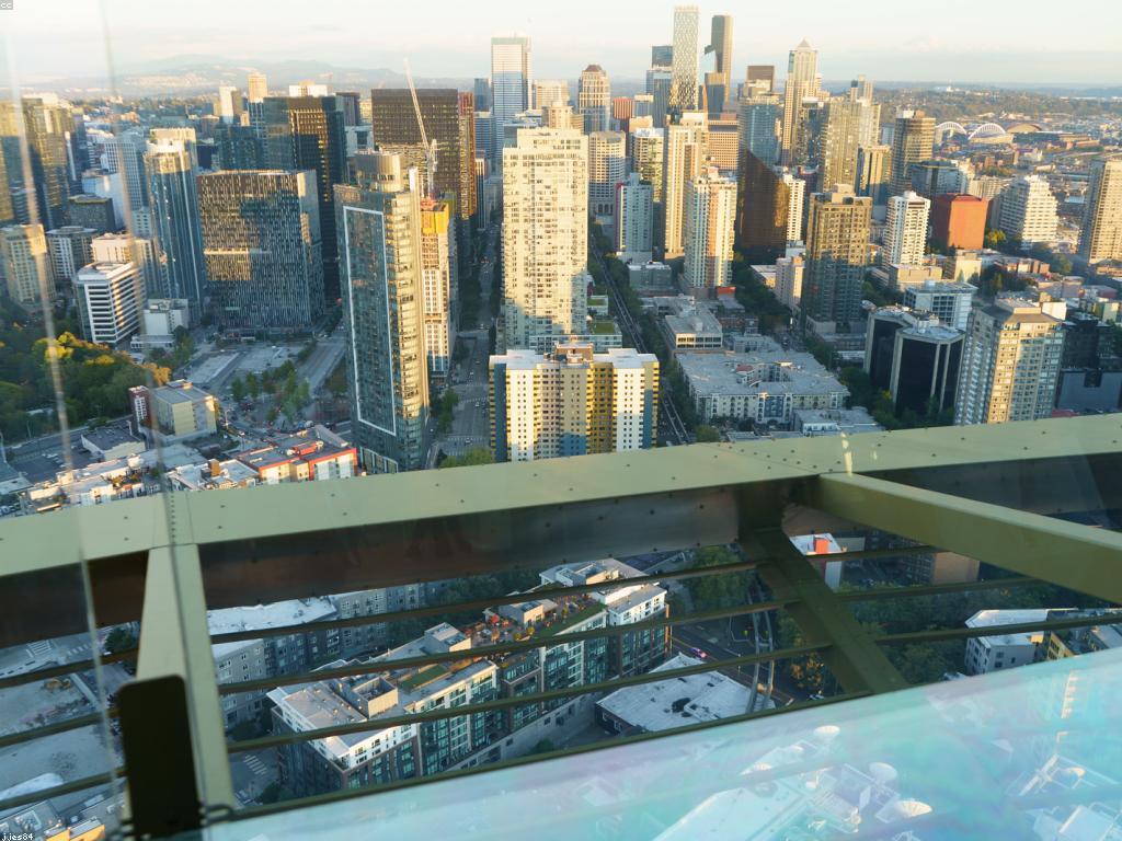 ការចាប់ដេញនៅក្នុងវិស័យអ្នកជំនាញ