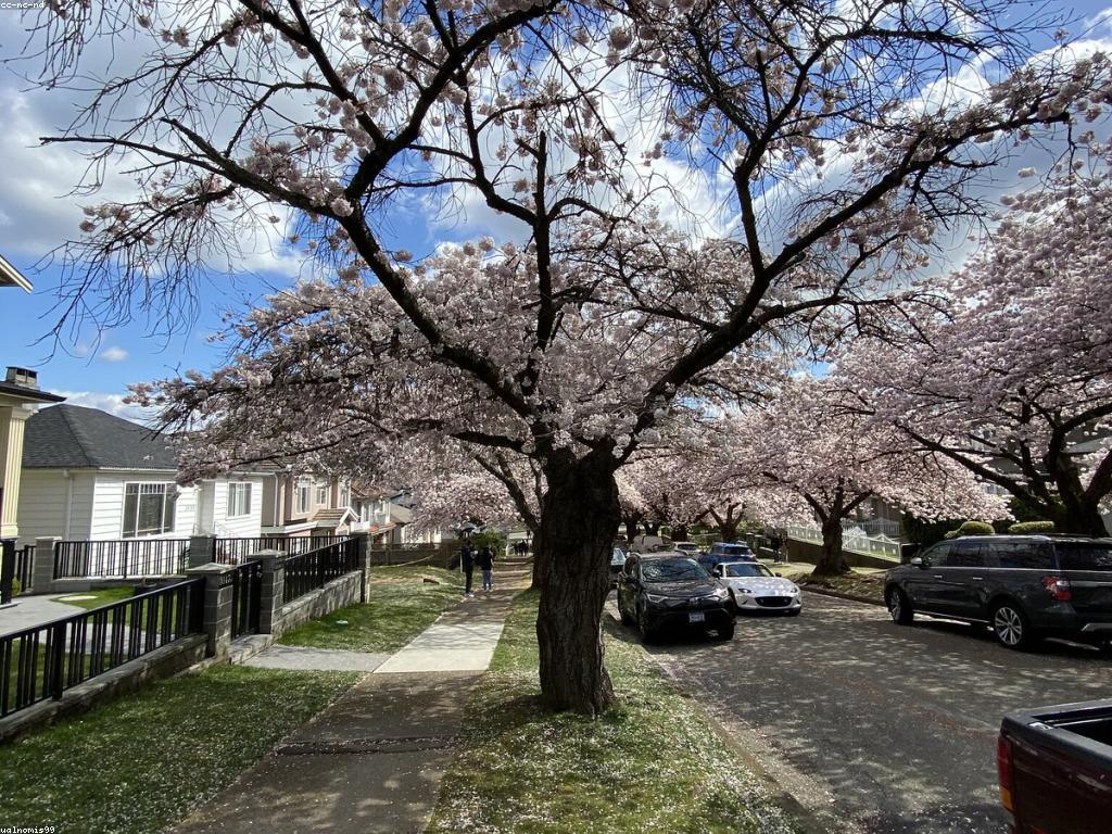 ការយល់ដឹងពីអ្នកជំនាញទាំងពីរនៅក្នុងទីផ្សារឌីជីថល