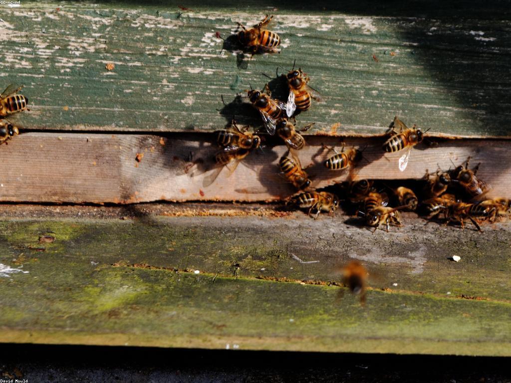 មកពីអ្នកជំនាញ: ការសិក្សា និងការពិចារណា