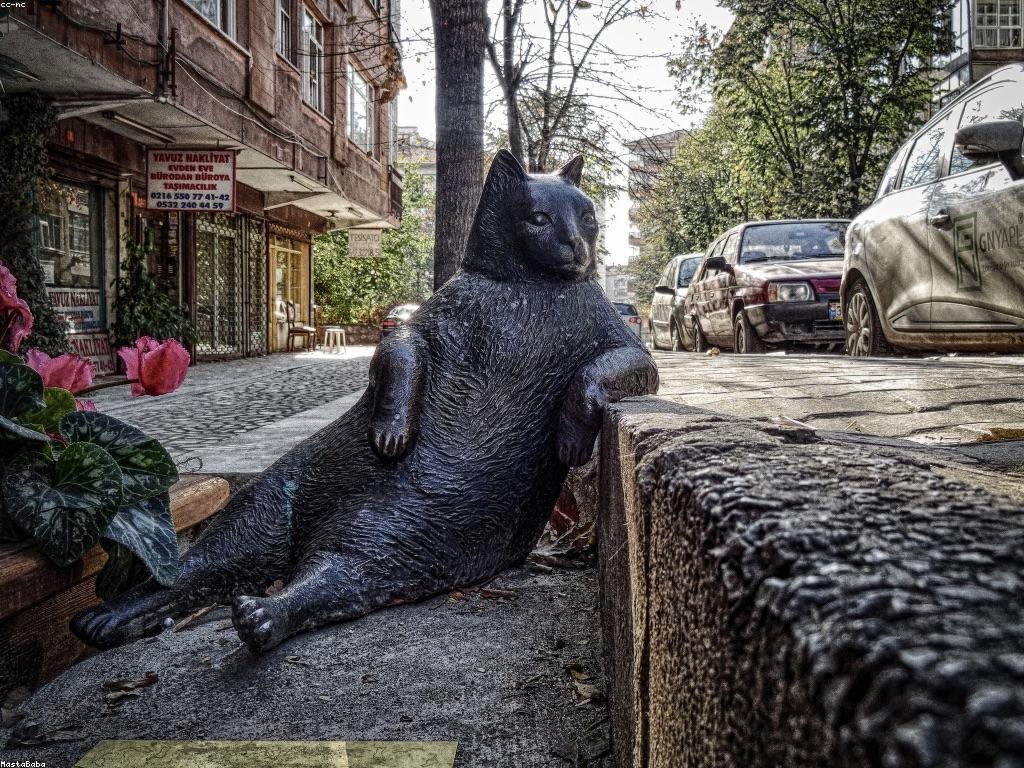 អត្ថបទពិសេសនិងសារៈសំខាន់របស់វា